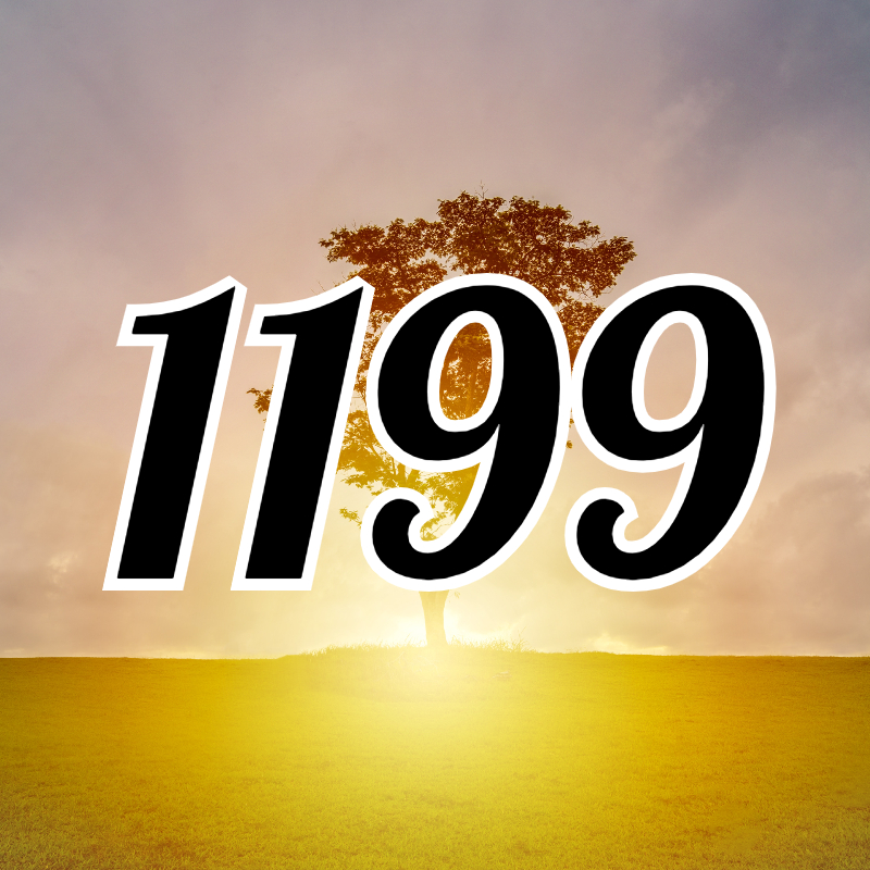 1199-meaning