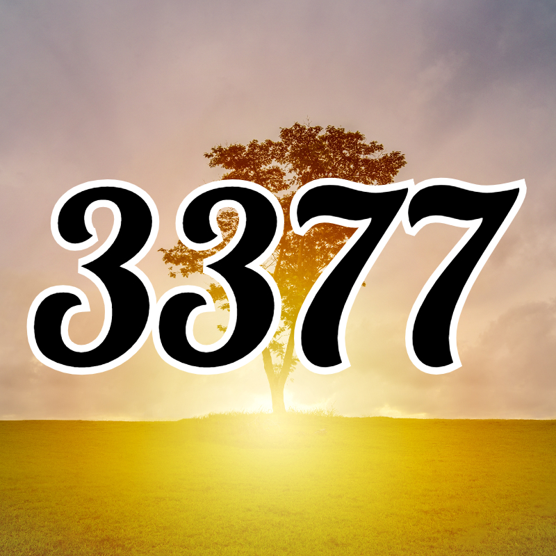 3377-meaning